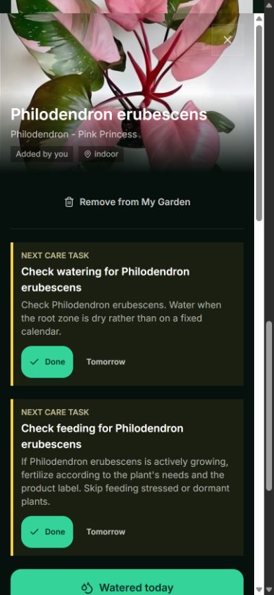 Current Rolling Ridge Rewards plant details screen showing a Pink Princess philodendron and personalized watering and feeding tasks